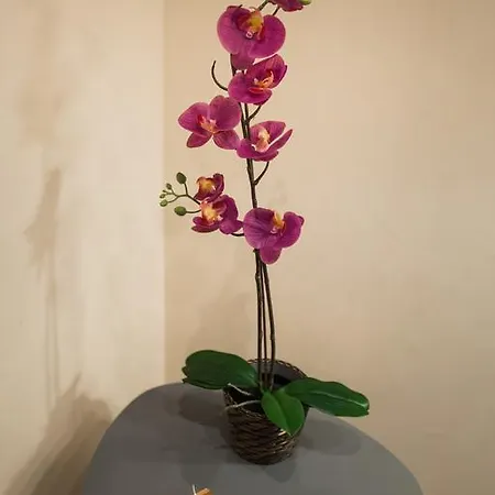 Malon Апартаменти *