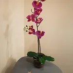 Malon Appartamento *